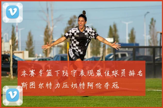 本赛季篮下防守表现最佳球员排名斯图尔特力压切特阿伦夺冠